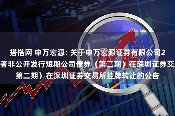 搭搭网 申万宏源: 关于申万宏源证券有限公司2025年面向专业投资者非公开发行短期公司债券（第二期）在深圳证券交易所挂牌转让的公告