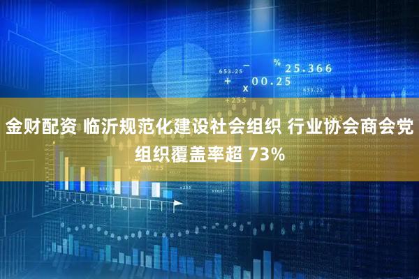 金财配资 临沂规范化建设社会组织 行业协会商会党组织覆盖率超 73%