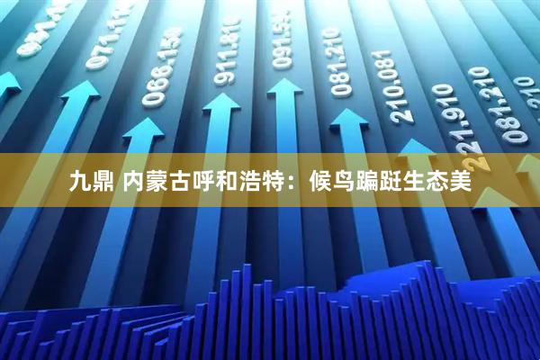 九鼎 内蒙古呼和浩特：候鸟蹁跹生态美