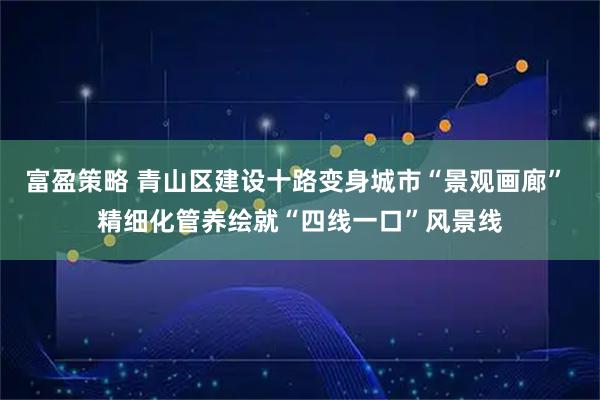 富盈策略 青山区建设十路变身城市“景观画廊” 精细化管养绘就“四线一口”风景线