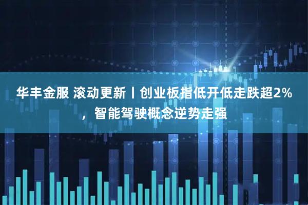华丰金服 滚动更新丨创业板指低开低走跌超2%，智能驾驶概念逆势走强