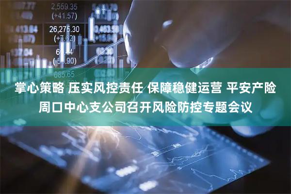 掌心策略 压实风控责任 保障稳健运营 平安产险周口中心支公司召开风险防控专题会议